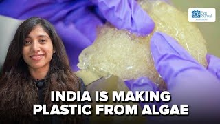 India is Making BioPlastic made from Algae  The CSR Journal [upl. by Ahcsap126]