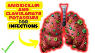 Amoxicillin and Clavulanate Potassium A DualAction Antibiotic for Bacterial Infections [upl. by Marelya]