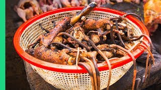 Bizarre Indonesian Jungle Food Welcome to EXTREME Indonesian Cooking in North Sulawesi [upl. by Yednarb]