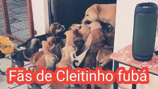 Cleitinho fubá recebe seus fãs [upl. by Airotahs]