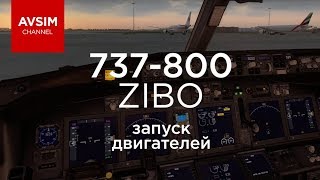 BOEING 737 ZIBO MOD  запуск всех систем и старт двигателей c комментариями XPLANE 11 [upl. by Yila793]