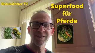 Superfood für Pferde Fütterung Fellwechsel An weiden Stoffwechsel lecker Futter Selbstgemischt [upl. by Violet]