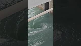 Largest Dam Spillways Radial Gates opening  How Electricity is generated i [upl. by Ihab437]