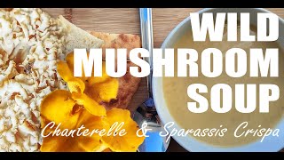 Cauliflower mushroom soup recipe Chanterelle and Sparassis Crispa  tasty recipes at home [upl. by Aztiray]