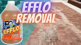 Using F9 To Remove Efflorescence￼ and Rust [upl. by Nnairam]