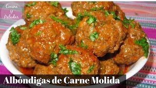 COMO HACER ALBONDIGAS DE CARNE MOLIDA PASO A PASO [upl. by Sillek]