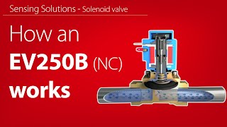 How the EV250B NC 1022 assisted lift solenoid valve works at low differential pressure  Animation [upl. by Yhtir]