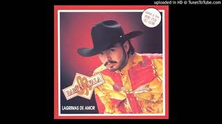 Ramon Ayala Jr  Lágrimas de Amor 1993 [upl. by Ahsirak]