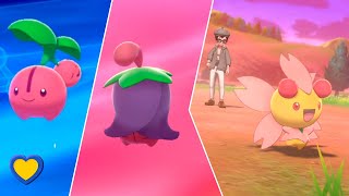 HOW TO GET Cherubi into Cherrim in Pokémon Sword and Shield [upl. by Koal]