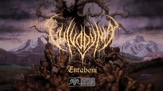 Vulvodynia  Entabeni Official Lyric Video [upl. by Halehs]