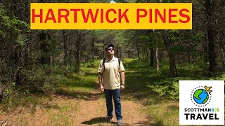 How to Visit Hartwick Pines State Park  Michigan State Parks [upl. by Aiekat716]