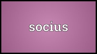 Socius Meaning [upl. by Vershen]