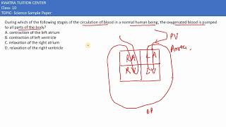 9 During which of the following stages of the circulation of blood in a normal human being the [upl. by Ormond359]