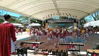 Baler National High School  BNHS Drum and Lyre Corps 2019 [upl. by Naivaf]