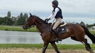 Cross country La Macoemba MB Pietje Waregem Horse Club Gaverbeek reeks 4 4e Anouk van Gerven [upl. by Jordans]