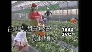 1992猴年盧育佐台北內湖草莓園5 [upl. by Leile]