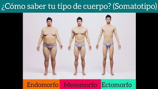 ¿Cómo saber tu tipo de cuerpo Somatotipo Test tips y mucho más 💪🏻🥇 [upl. by Olathe]