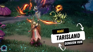 Tarisland MMO  Mage Gameplay  Dungeon Boss [upl. by Jenda]