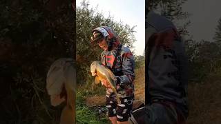 Young Angler Catches Giant Bass shorts fishing [upl. by Electra]