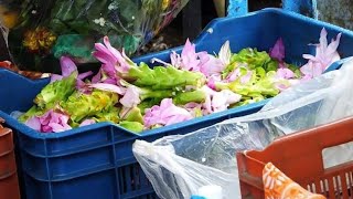 Dont Buy this Flower from the Market  Ganesh chaturthi Gauri poojan [upl. by Krueger]