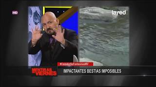 Impactantes Bestias Imposibles [upl. by Jandel259]