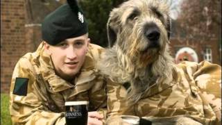 Royal Irish Regiment Tribute wmv [upl. by Ortiz]