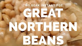 Instant Pot Great Northern Beans EASY NO SOAK VERSION Recipe [upl. by Renaxela]