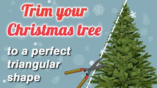 Christmas tree trimming tutorial how to trim your real Christmas tree to a more triangular shape [upl. by Dehsar]