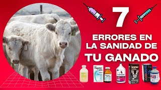 🚨 7 ERRORES EN LA SANIDAD DE TU GANADO 🐂 PONEN EN RIESGO LA SALUD DE TU GANADO 🚨 [upl. by Aplihs]