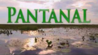 Programa Pantanal WWF Bolivia y Brasil [upl. by Tonnie]