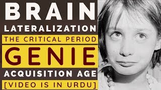 Brain Lateralization  Critical Period  Genie  Right Hemisphere Language  Acquisition Age [upl. by Lara658]