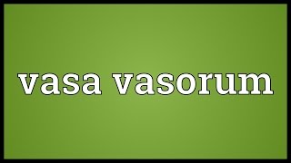 Vasa vasorum Meaning [upl. by Enilemme]