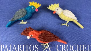 PASO A PASO PARA TEJER PAJARITOS A CROCHET [upl. by Annenn844]