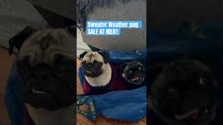 2 for One Pug Sale IKEA 🤣they LOVE sitting in ikea bags ikea pug dogs funnydog funnyanimal [upl. by Earas]