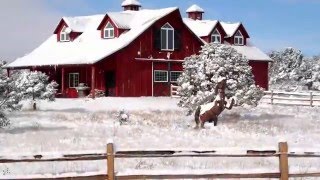 Blame Her Ranch Holiday Decorations Video [upl. by Nosa692]