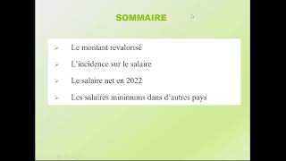 Le SMIC au 1er janvier 2022 [upl. by Akena]