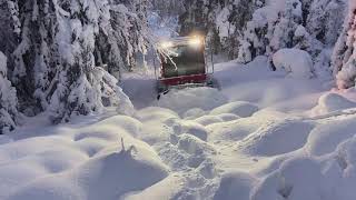 Snow Rabbit 3 in woods outside Oslo Norway [upl. by Nairrad535]