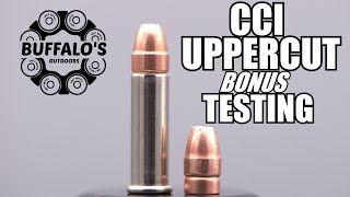 CCI UPPERCUT 22lr Self Defense JHP  BONUS TESTING [upl. by O'Connell424]