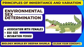 Environmetal Sex Determination  Sex Determination  sexdetermination  principlesofinheritance [upl. by Meakem]