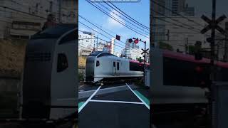 New metro train China vs mono rail China chinametro monorail youtubeshortsvideo viraltrain [upl. by Dre]