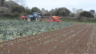 Semis de couvert sur une parcelle de choufleur récoltée [upl. by Ammadis]