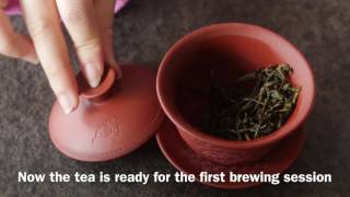 Yixing Gaiwan Brewing Fenghuang Dancong Oolong Tea  Dancong Tea [upl. by Watt]