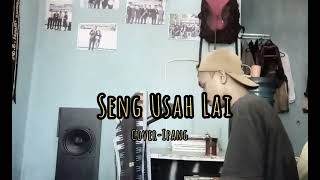 Lagu AmbonSeng Usah LaiDoddie LatuharharyCover ipang 🎧 [upl. by Itnaihc719]