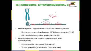 Module 7 Microbial Genetics [upl. by Junieta]