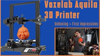 Voxelab Aquila 3D Printer  Quick Review  The Ender3 Killer [upl. by Aivyls]