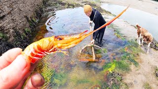 We found a low tide pool full of JUICY PRAWNS Out with the net [upl. by Drannek655]