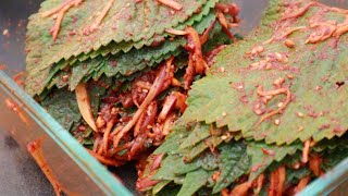 Easy Korean Perilla Leaf Kimchi Recipe  100 leaves [upl. by Missy223]