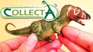 CollectA® Daspletosaurus posed seated Review [upl. by Yracaz168]