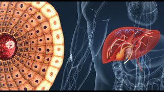 histologie du foie très simple et rapide à apprendre [upl. by Ajnot]