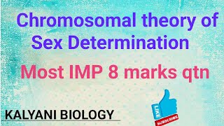 Chromosomal theory of Sex determinationgeneticsMost IMP 8marks qtn Malefemale Heterogametic [upl. by Fredia]